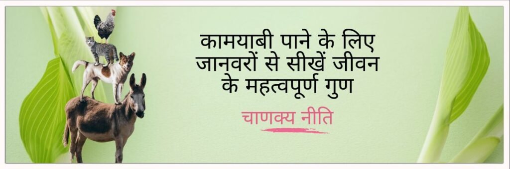 amazing world of animals: जानिए जानवरों से सीखने योग्य जीवन के गुण